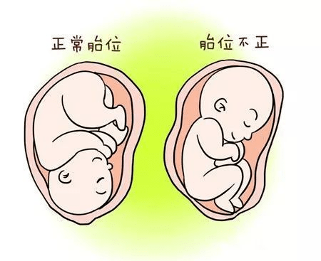 重庆妇幼保健院供卵试管婴儿怎么样收费