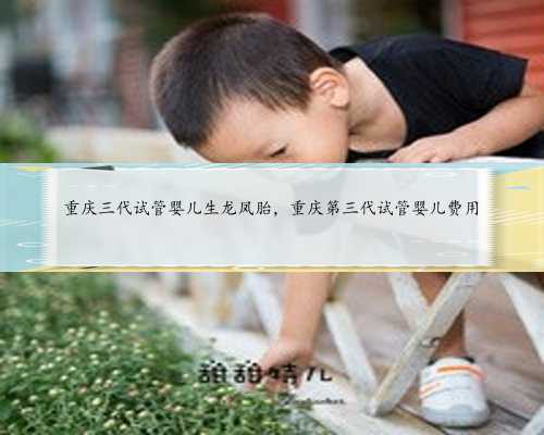 重庆三代试管婴儿生龙凤胎，重庆第三代试管婴儿费用